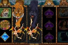 Exotic Cats Mobile Online Slot New from Microgaming August 2018