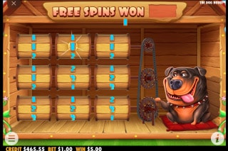 The Dog House Slot Bonus Feature